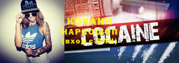 амф Пересвет