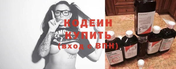 амф Пересвет